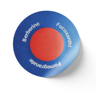 Nahaufnahme des Purisaki-Pflasters